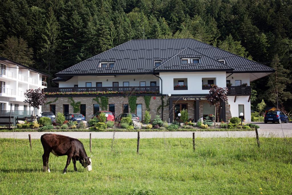 La Conac In Bucovina Hotel Gura Humorului Exterior foto